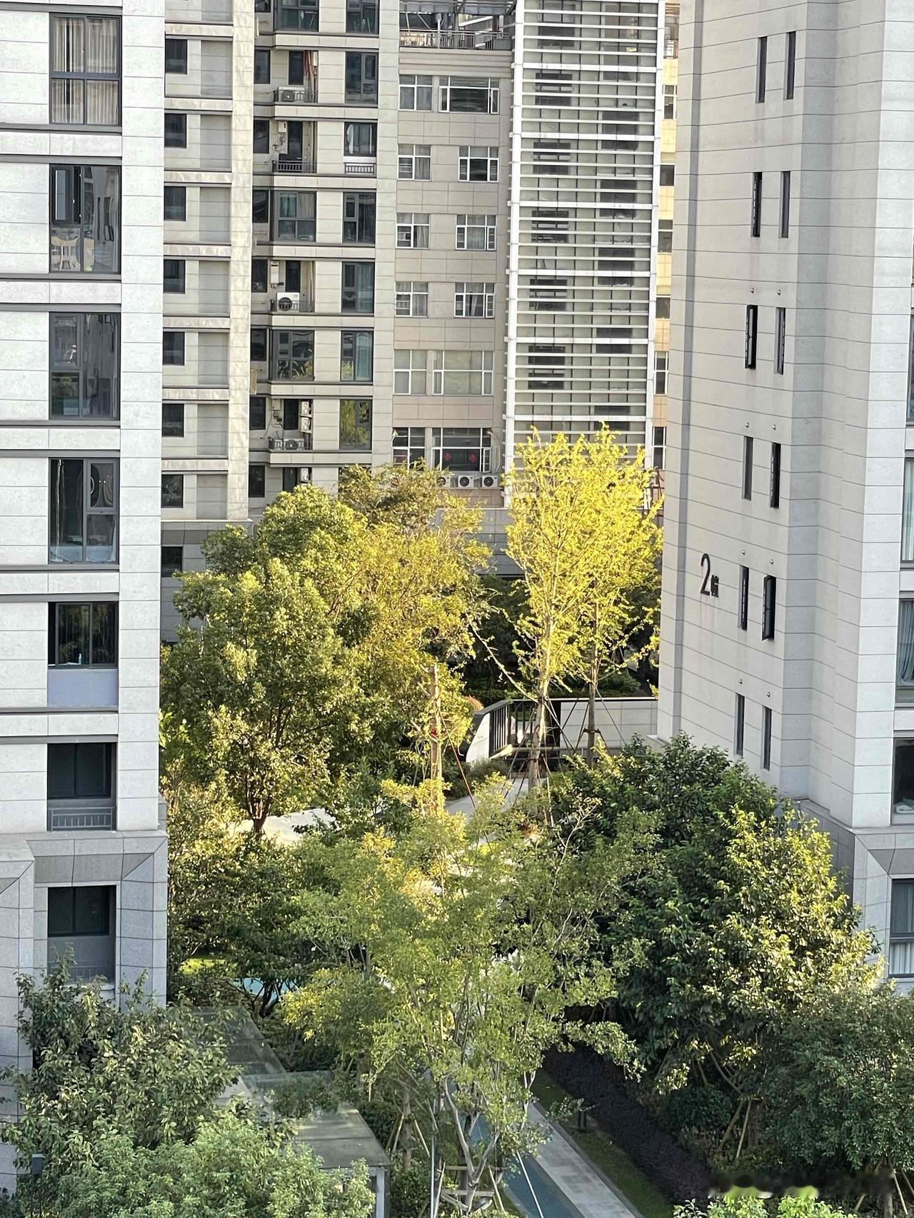你买手机最看重的是哪方面，是外观还是像素或者是续航？