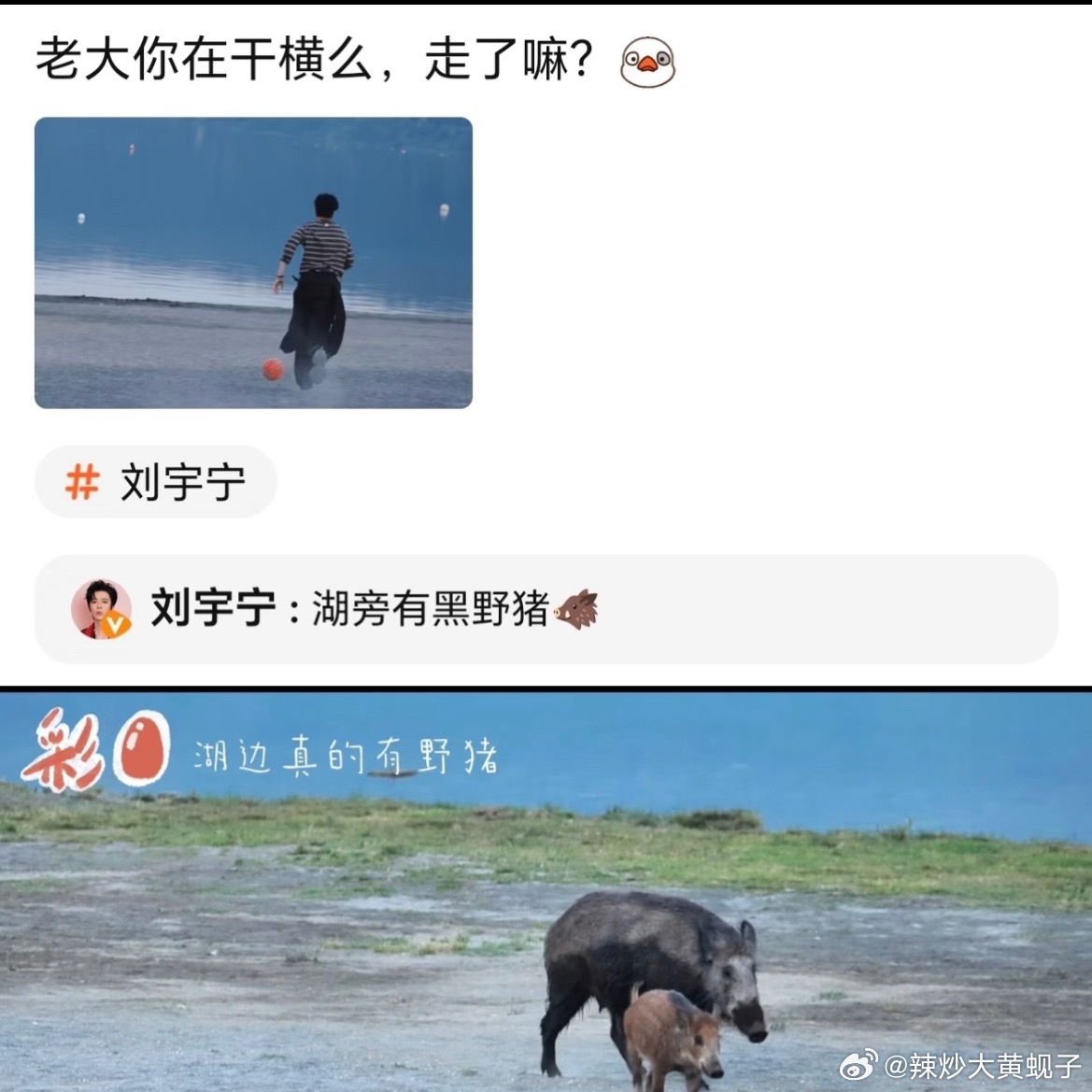说起迷路  我又想起了这个🐗和小鱼吐泡泡🫧刘宇宁刘宇宁在超话迷路了摩登兄弟