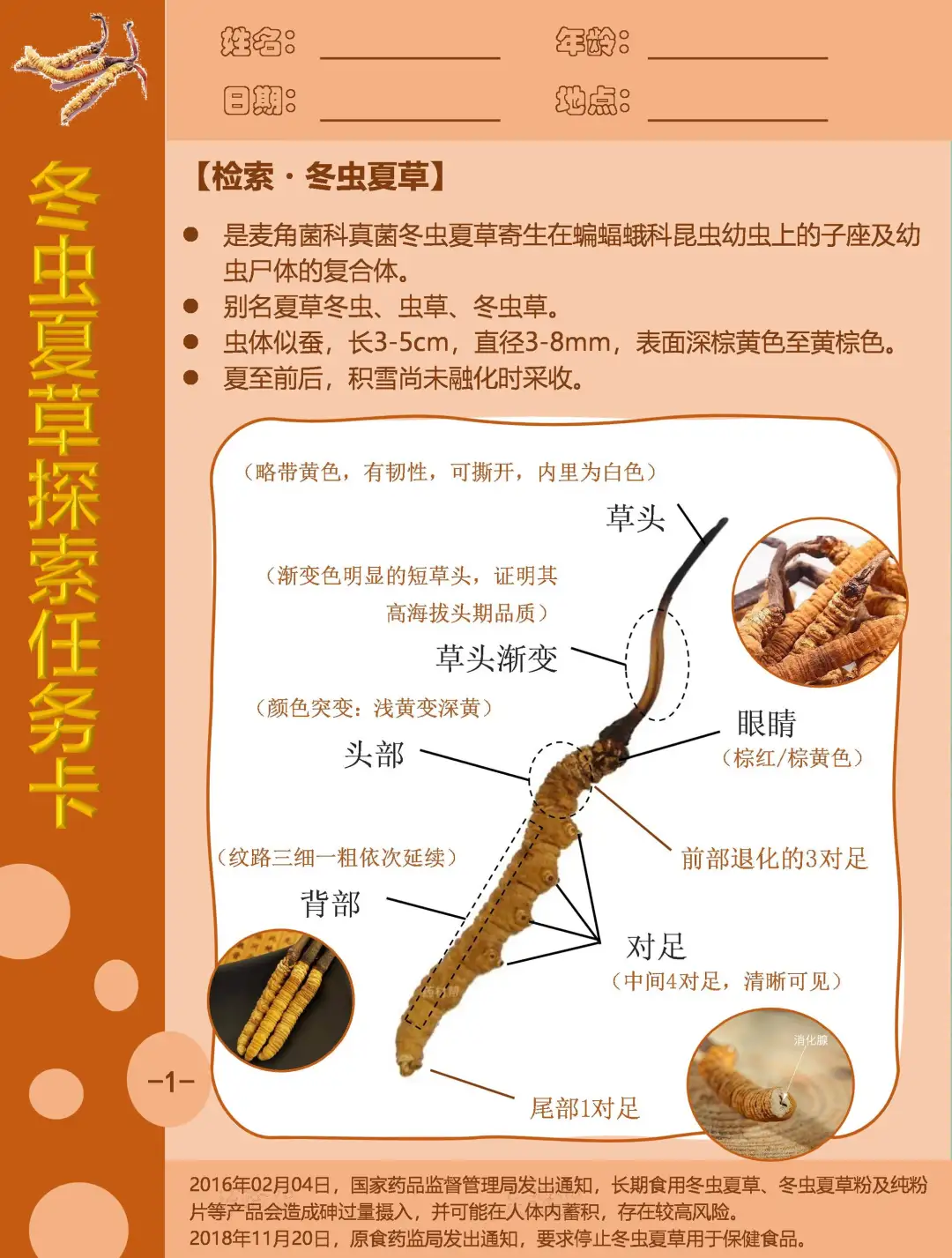 自然教育探索任务卡｜冬虫夏草