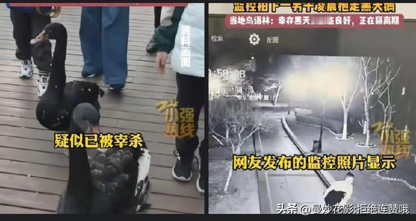 真的是又蠢又坏！
辽宁，男子以为跨年夜人都去庆祝了，没有人会注意，他就偷偷跑进大