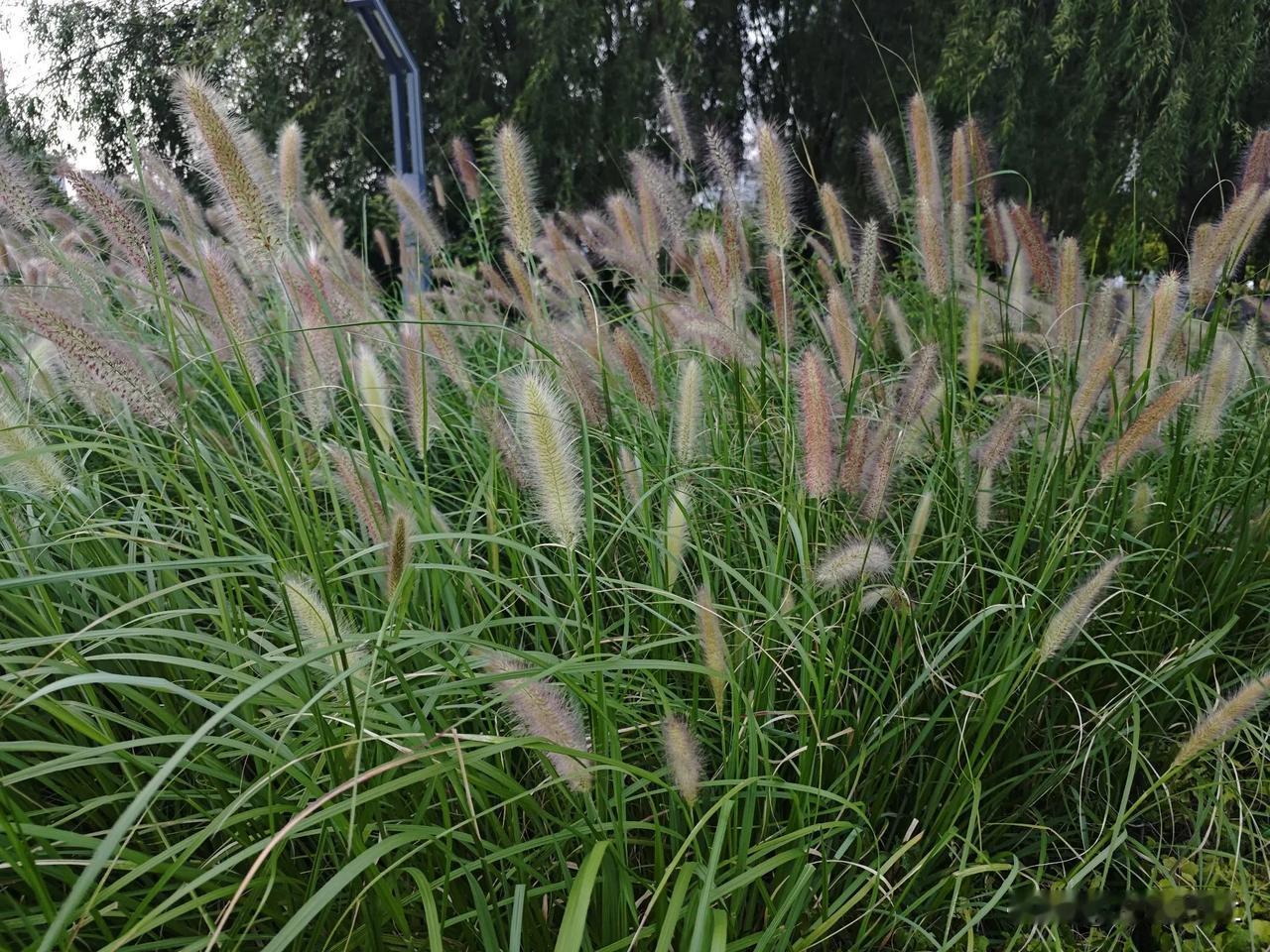 职场面对强人怎么办？硬刚伤和气，顺从被拿捏，试试这3招！
1. 表面示弱，内心坚