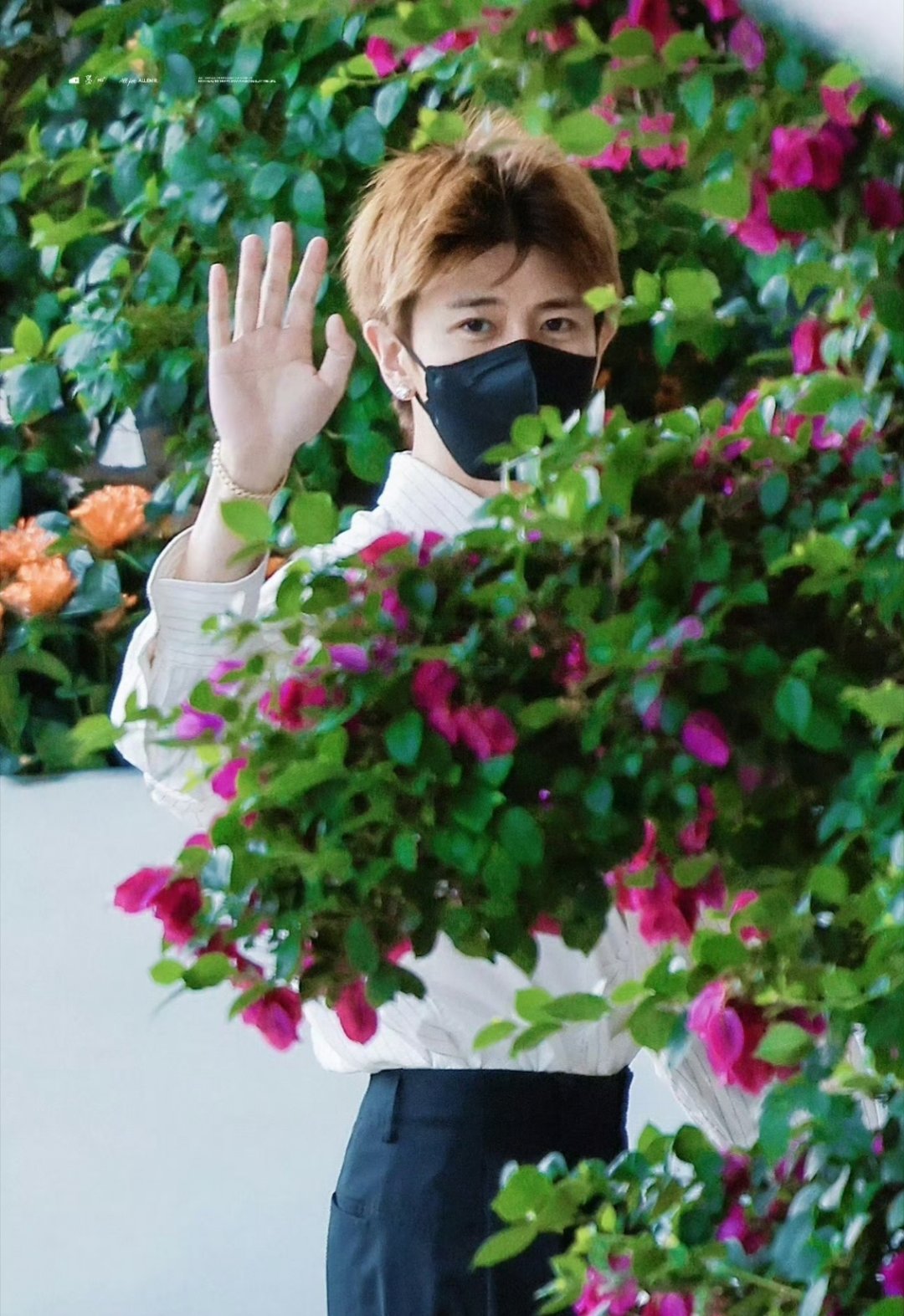 任比花娇 