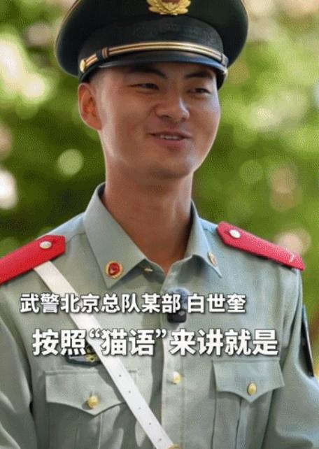 “这小家伙也太会找人了！”北京天安门广场，一只小猫溜达到执勤哨兵身边，不仅有模有