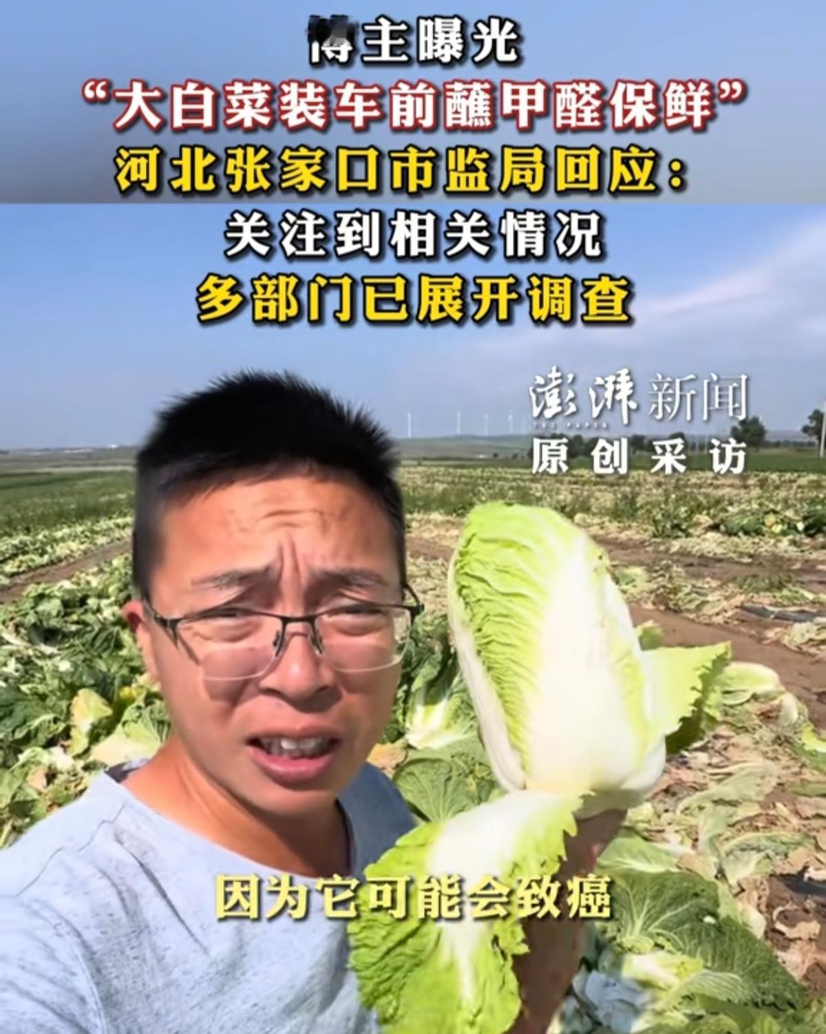 今天网上有个事讨论挺多的。说河北那边收白菜的，装车之前把白菜往甲醛溶液里蘸一下。