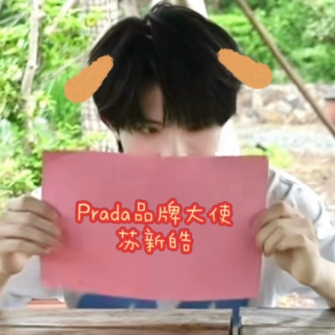 【5082】妈！这上面写的啥呀？狗不认字儿～prada品牌大使苏新皓