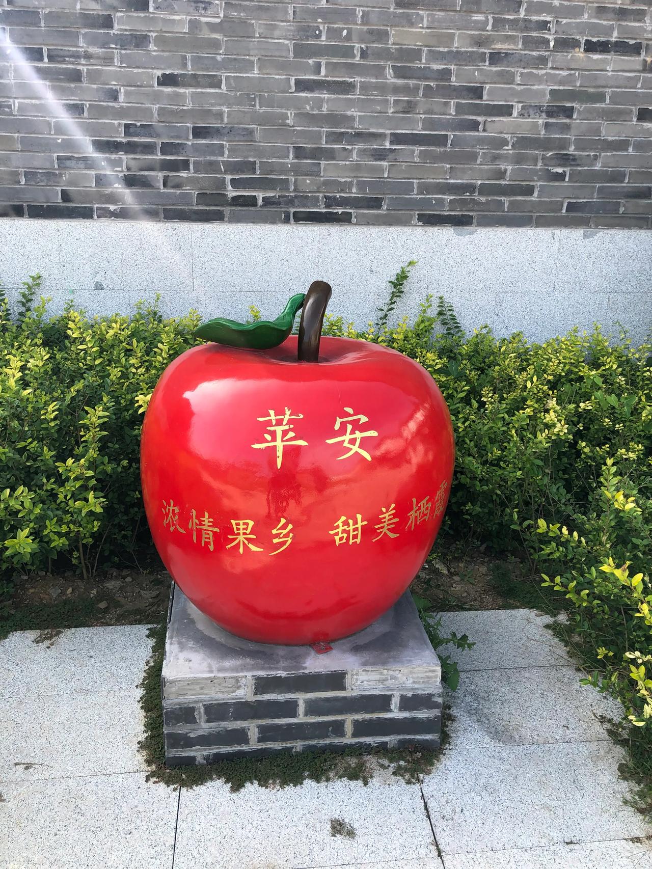 颜值就是生产力
最甜也是生产力
直播带货能力
网络视频直播
平台经济发展
逐步取