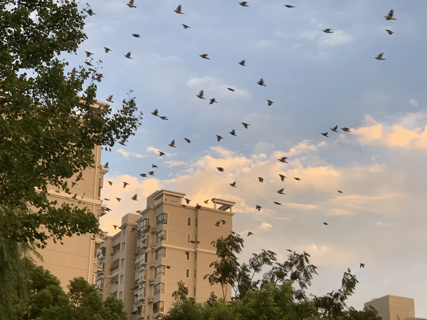 大家健身都穿什么鞋啊