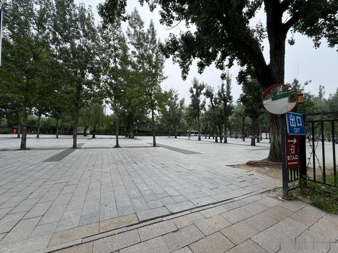 今天来圆明园，原有的东门停车场不让停车了，停车需要走很远，对于老人、孩子和我们这
