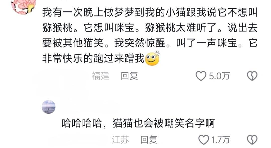 原来猫猫还会托梦呀你家猫有给你托过梦吗？ ​​​