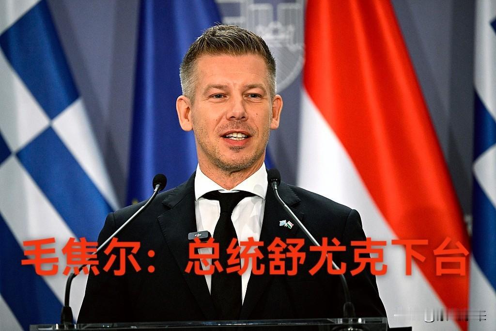 匈牙利总理毛焦尔要求总统舒尤克任期提前终止，如若不同意就启动国会弹劾程序！

匈