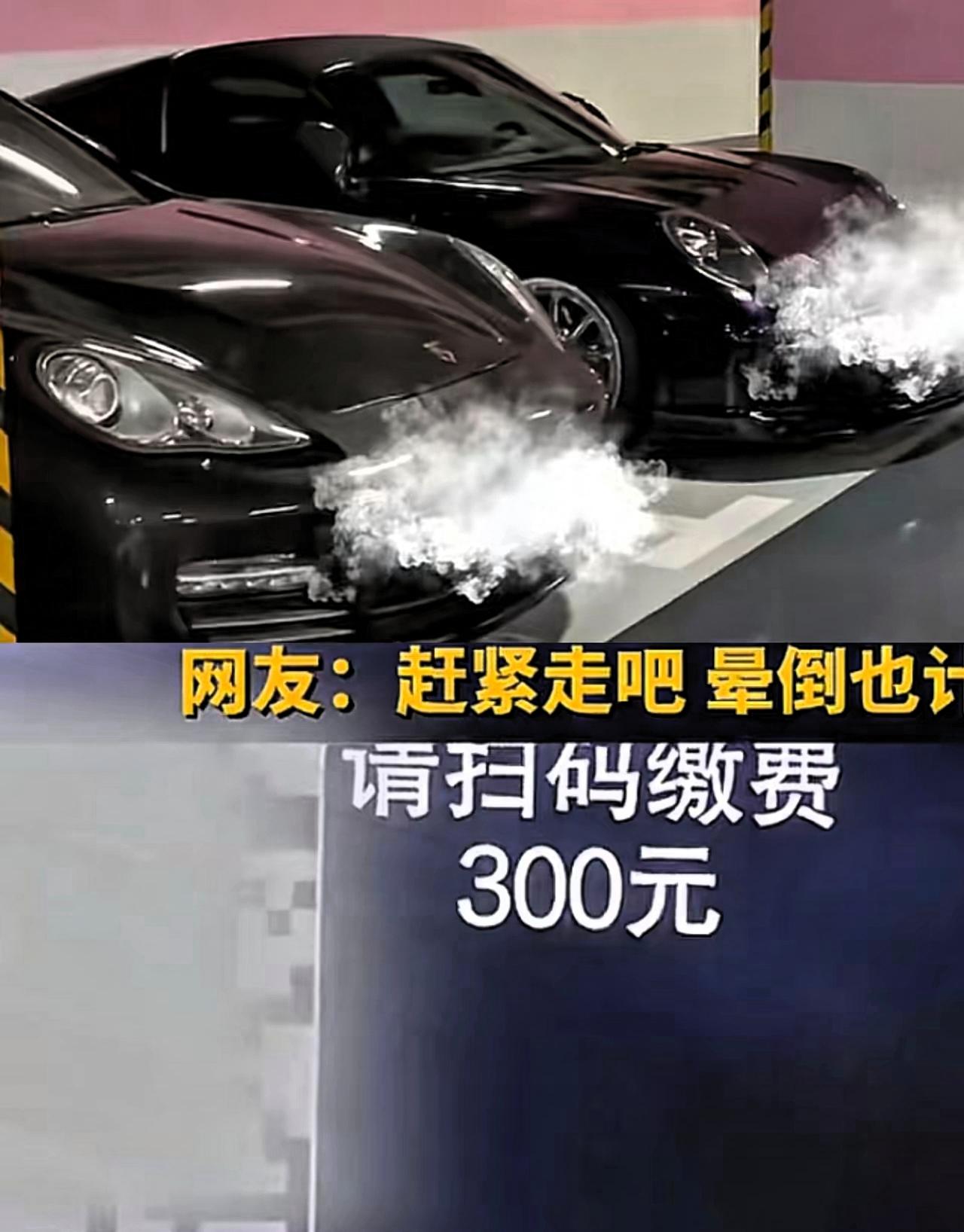 这下彻底出名了
不仅上海，全国人民都知道了！
一女子在上海半岛酒店对面餐厅用餐，