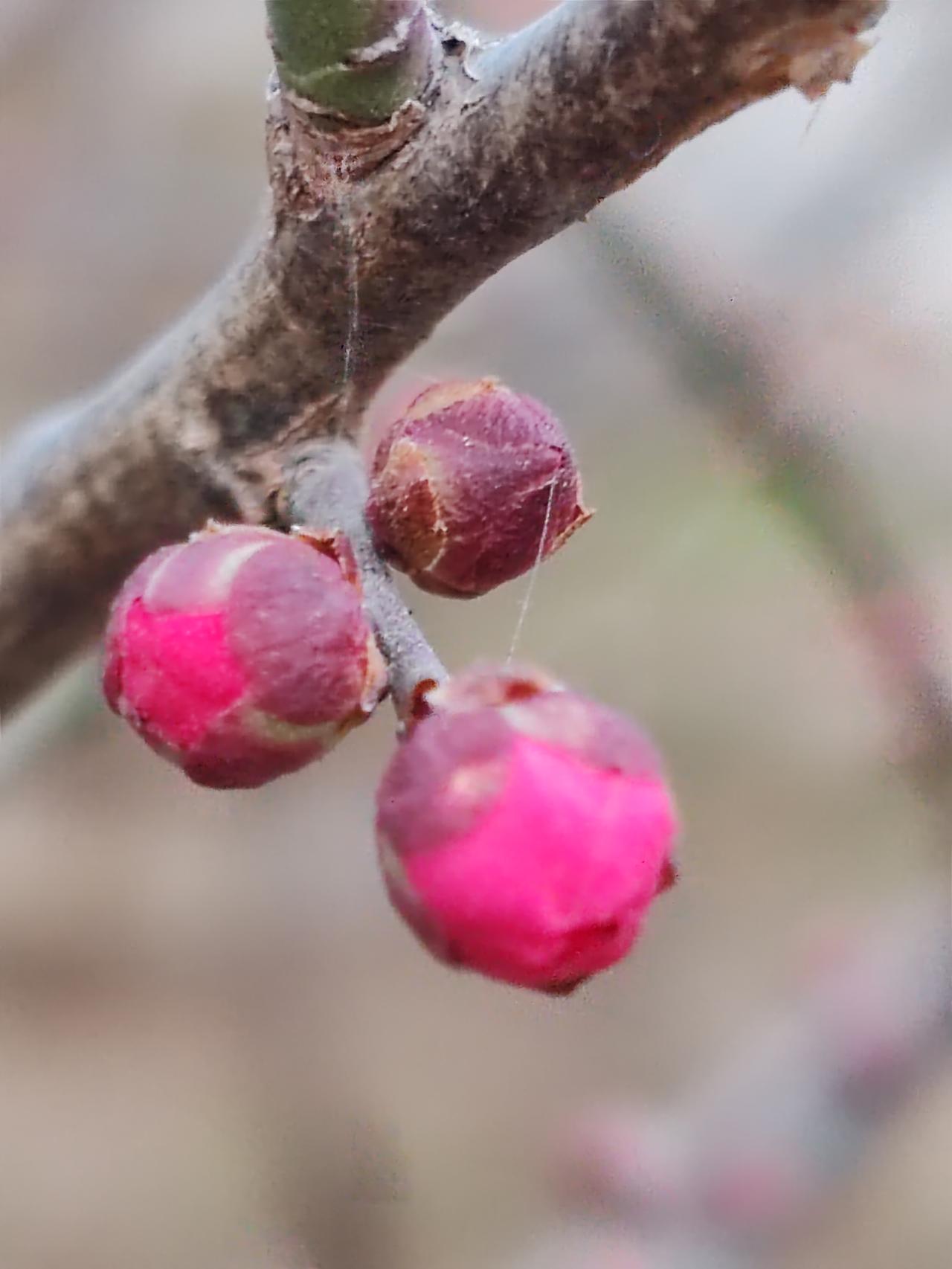 并非大富大贵之家，谁家过日子都是依据自家的情况来。其实，过的都是孩子们的日子。要