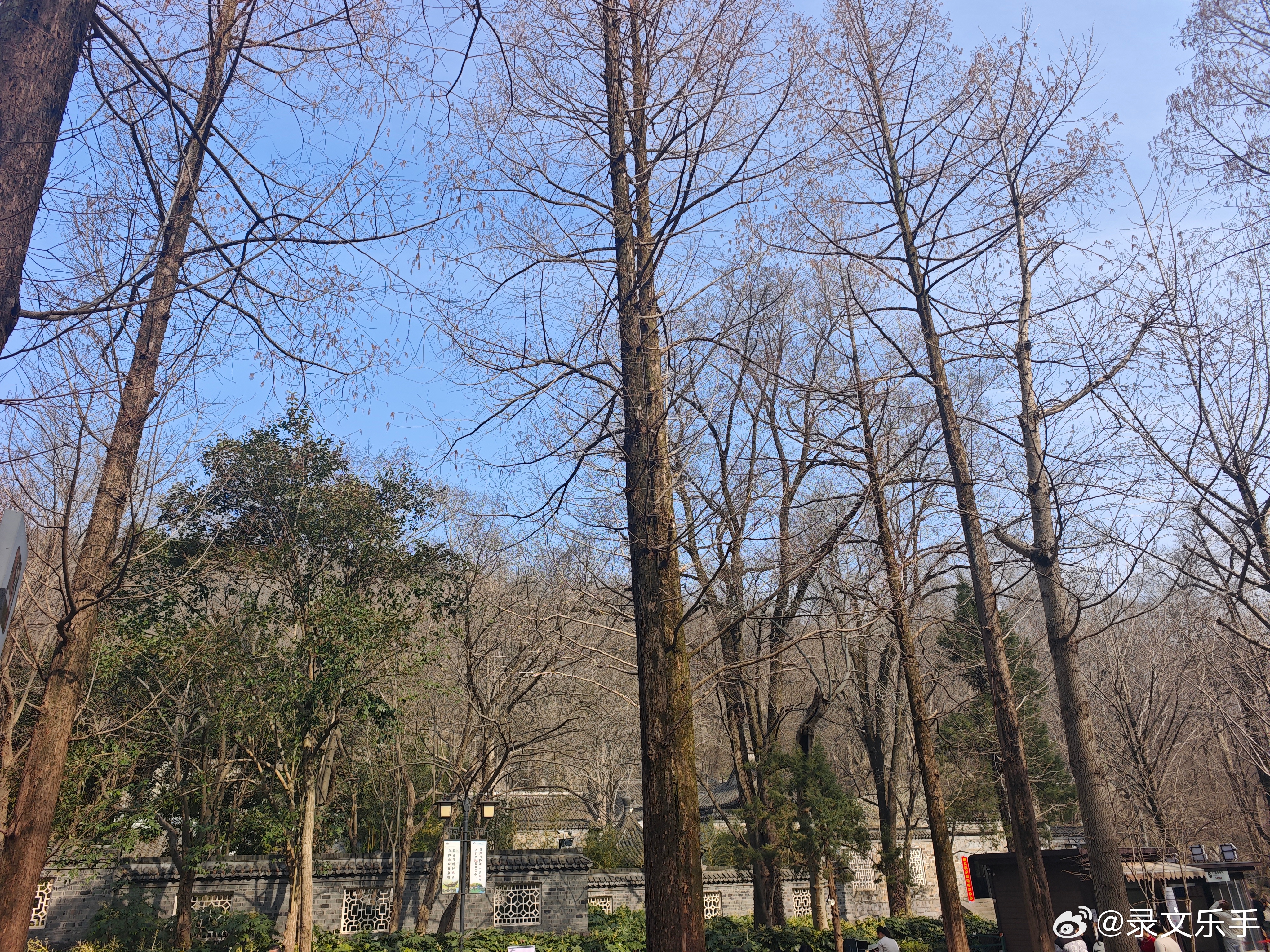 滁州的琅琊山北方到南方，路线有几条，滁州是一个大概率经过的城市。地图上会有推荐这