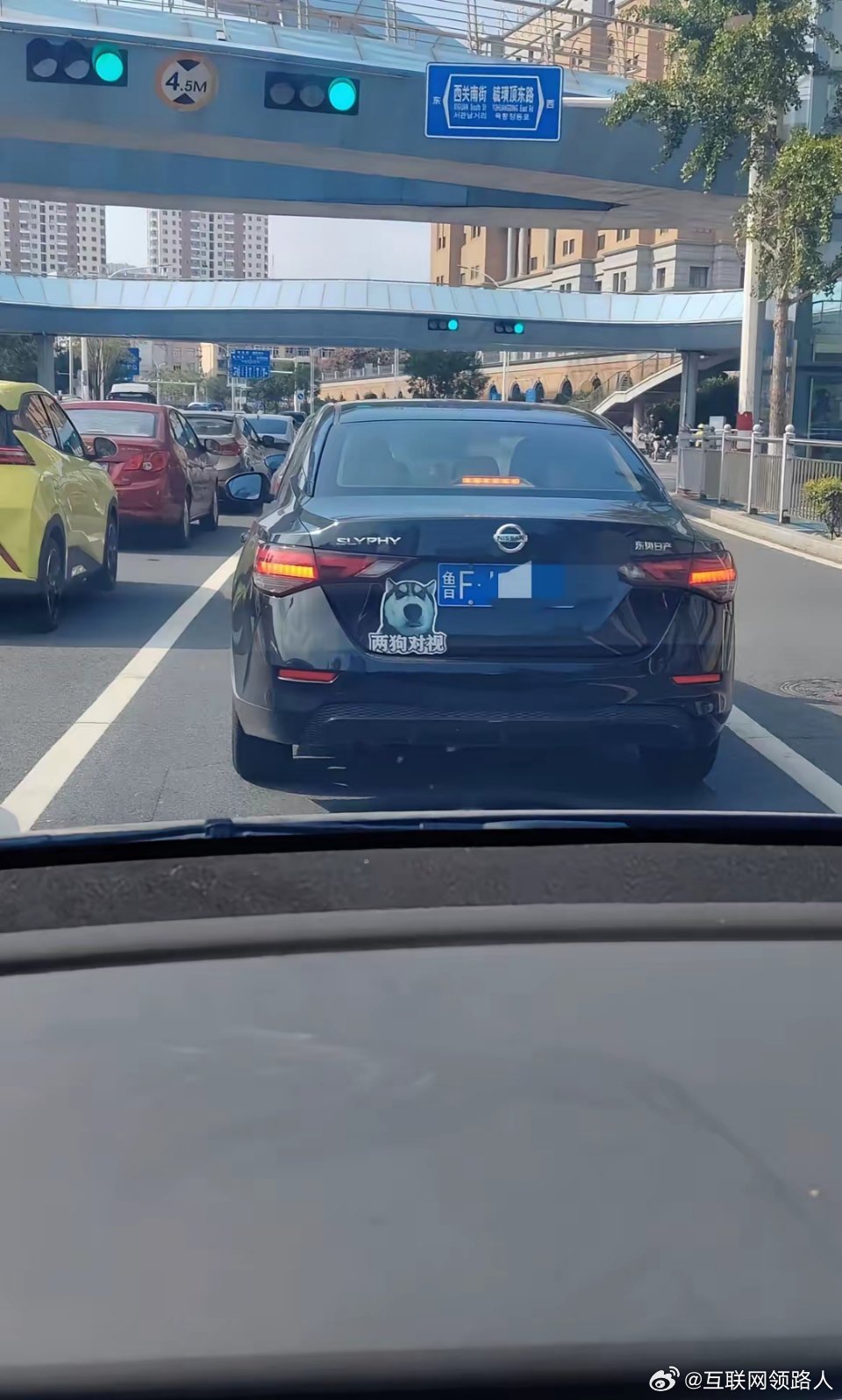 烟台再现惊人车贴语，真搞不懂车主啥心态。虽说里头带着点开玩笑的意思，但确实让不少