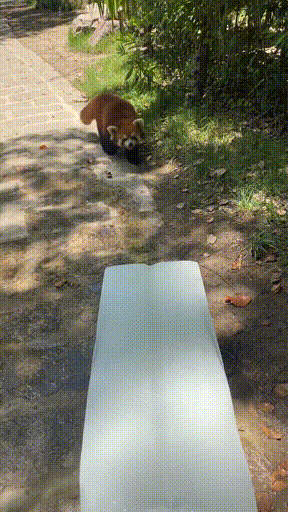 好凉快啊 