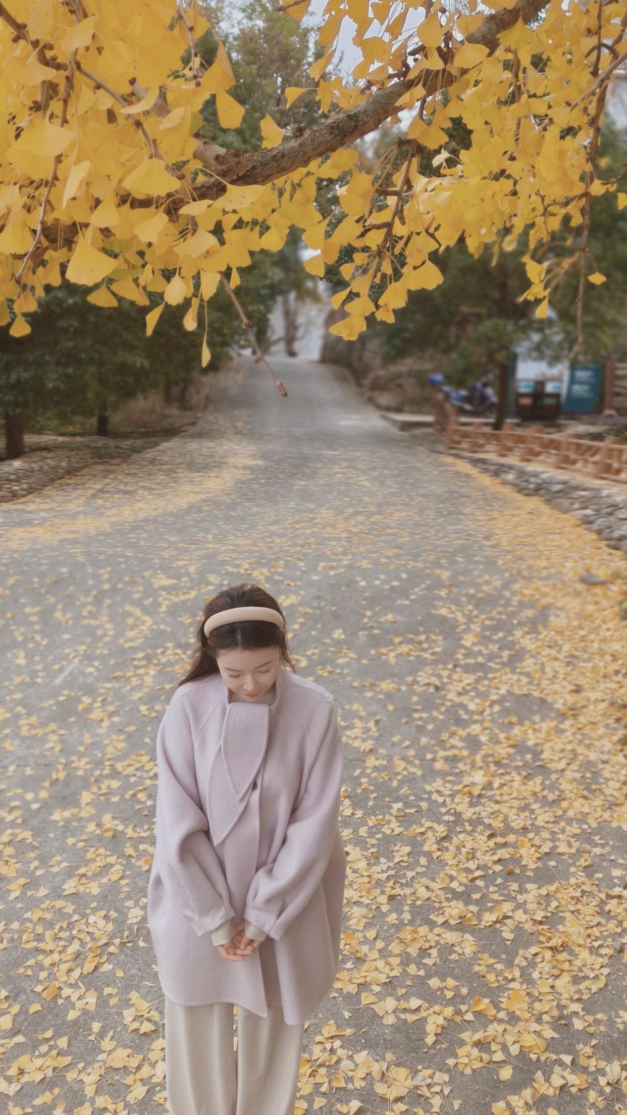 秋日漫步，落叶纷飞，少女漫步在金黄色的树荫下，感受大自然的温柔拥抱。🍂🍂🍂