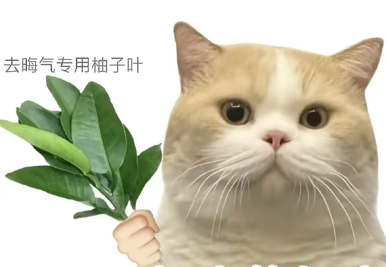 八字记录每日一善 某女生，🔥命，月刃格局，脾气厉害，雷厉风行，八字太旺喜水泄火
