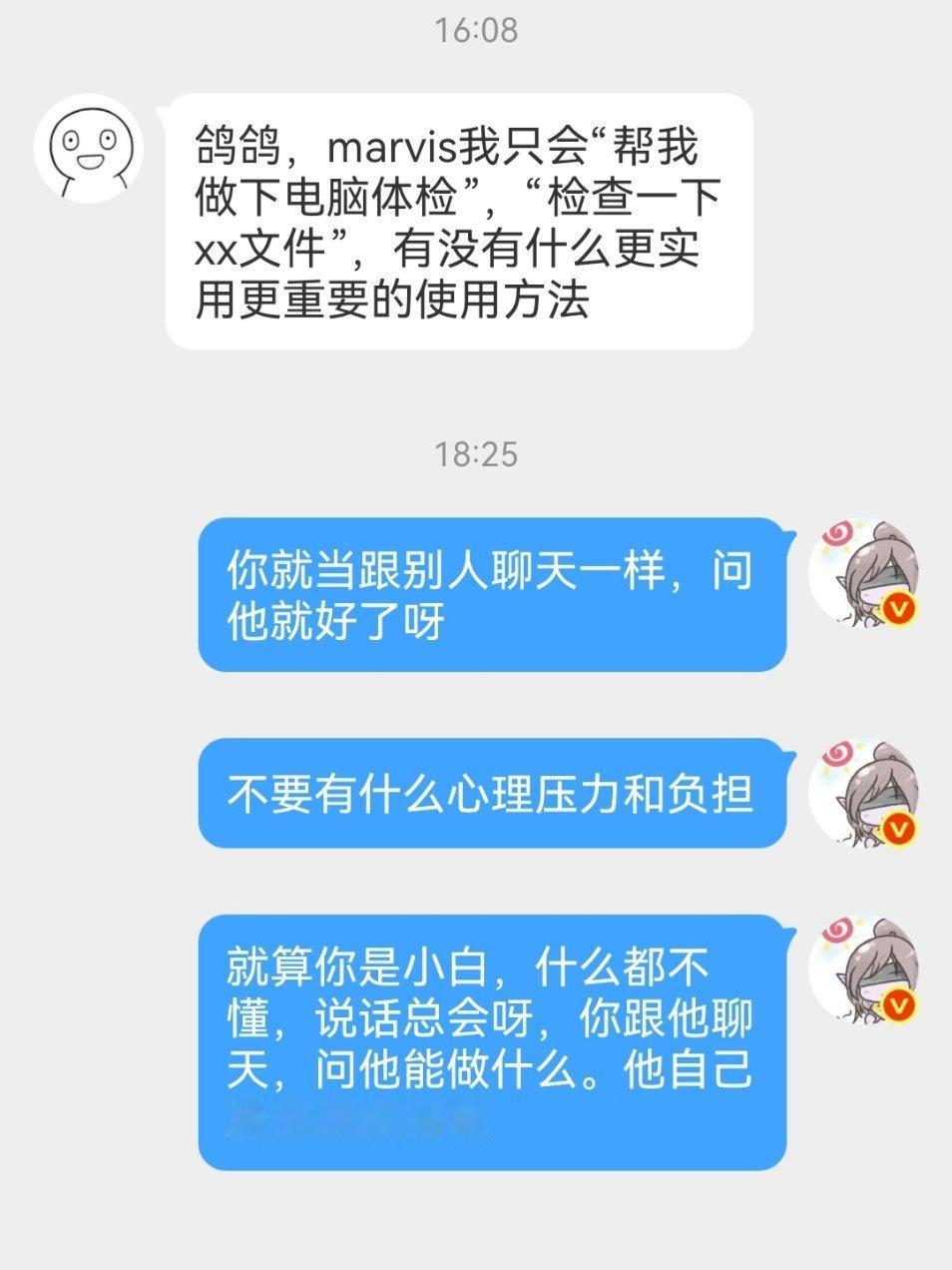 已经有起码四个人问我怎么和MARVIS对话怎么发挥它作用了，好像你们的心理压力都