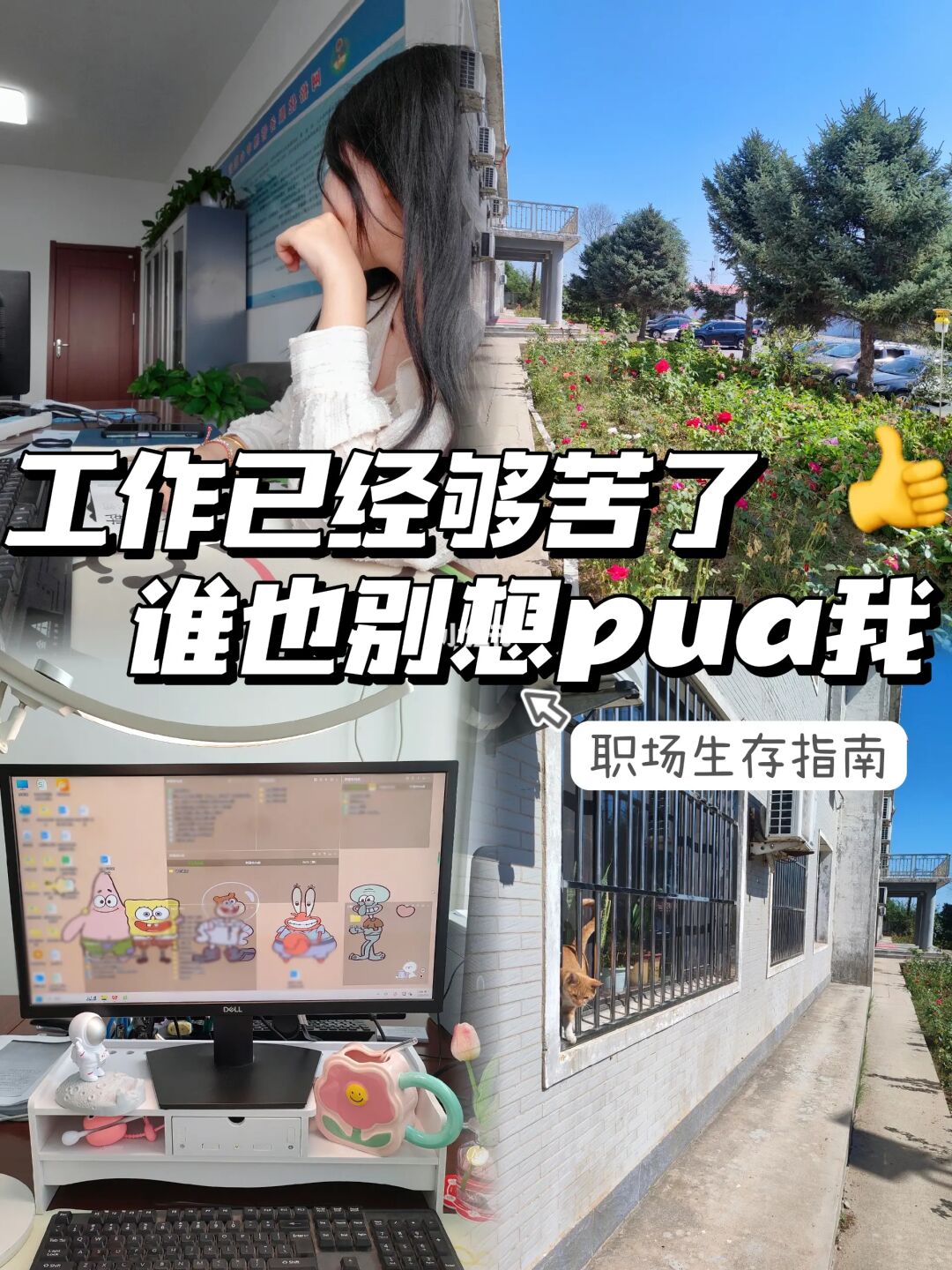 当我学会反pua领导以后，人生变得超爽‼