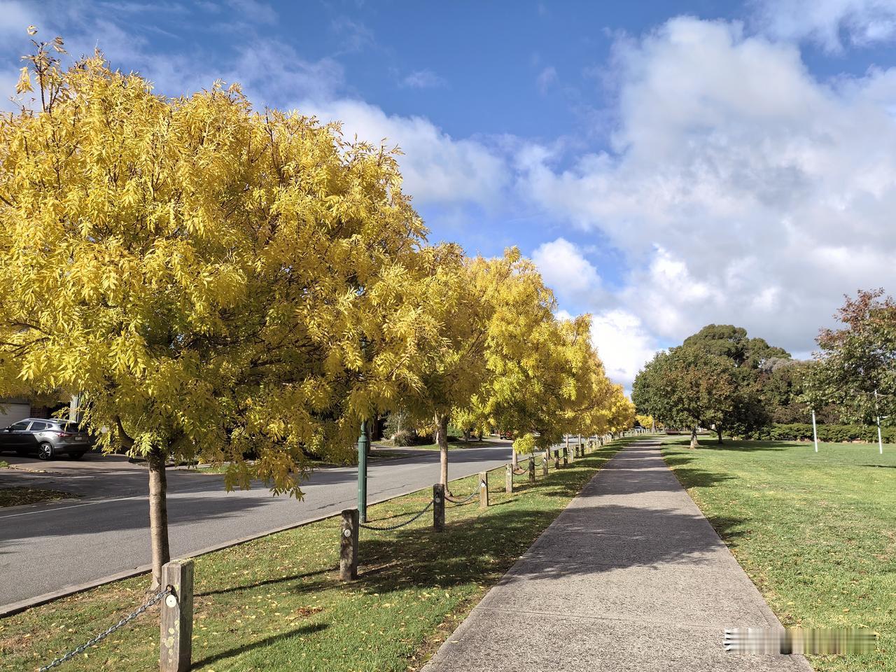 随手拍原创图片分享