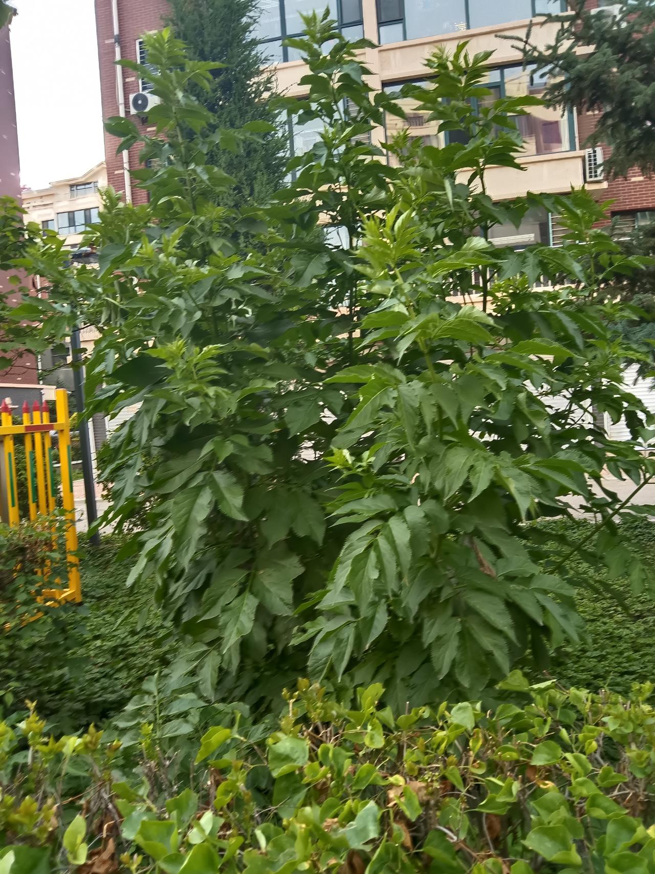 如果能回到高考前，我想对自己说：别害怕，你所担心的事大多不会发生。别因一模二模发