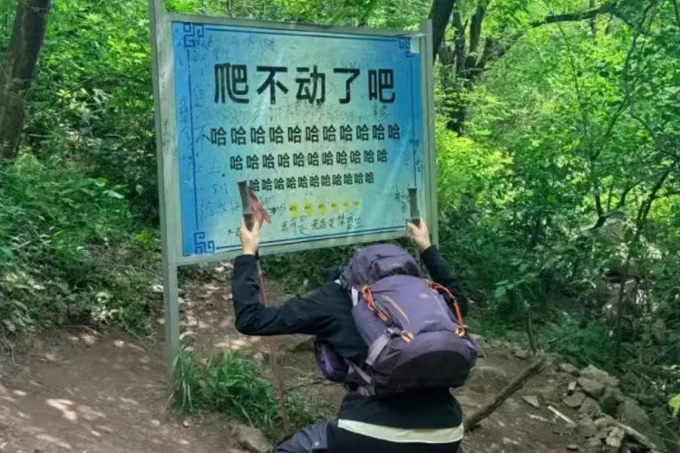网红标语牌失而复得，更该回归的是用户思维
