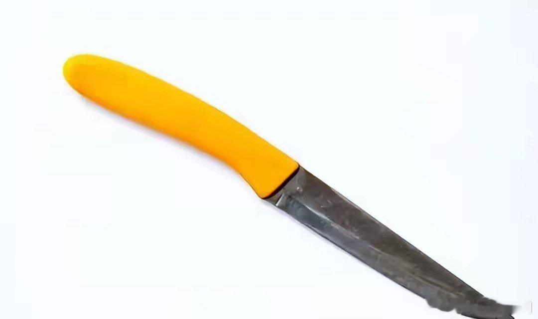 长治踹门反杀案惊天逆转：刀上无伤者DNA，真凶竟是“猪队友”？司法审判的意义在于