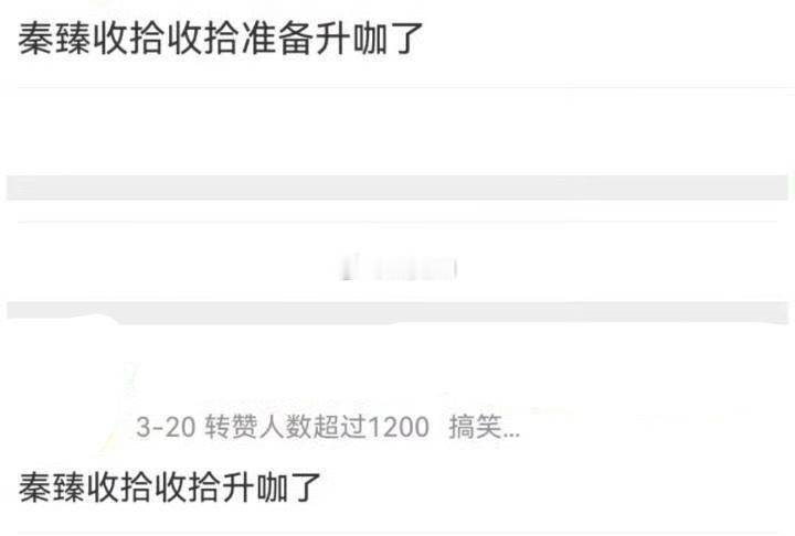秦臻准备升咖 