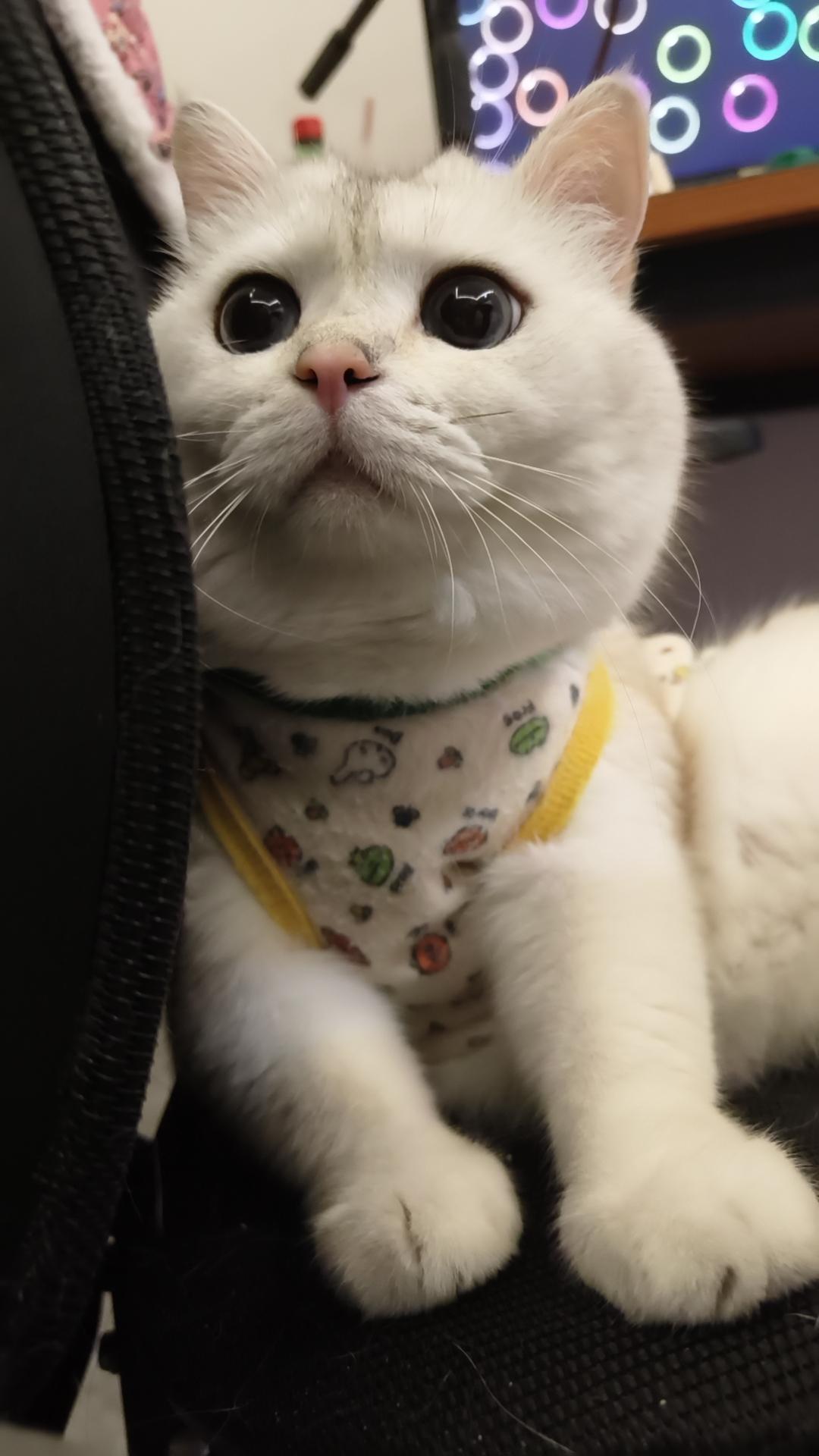 脸红红的呼吸
