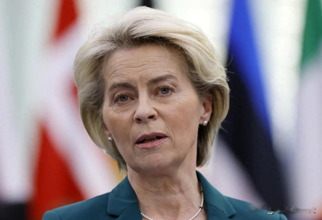 这可是重大转折！冯德莱恩可能要失望了，欧盟用冻结俄资产援乌可能成为过去，俄或重返