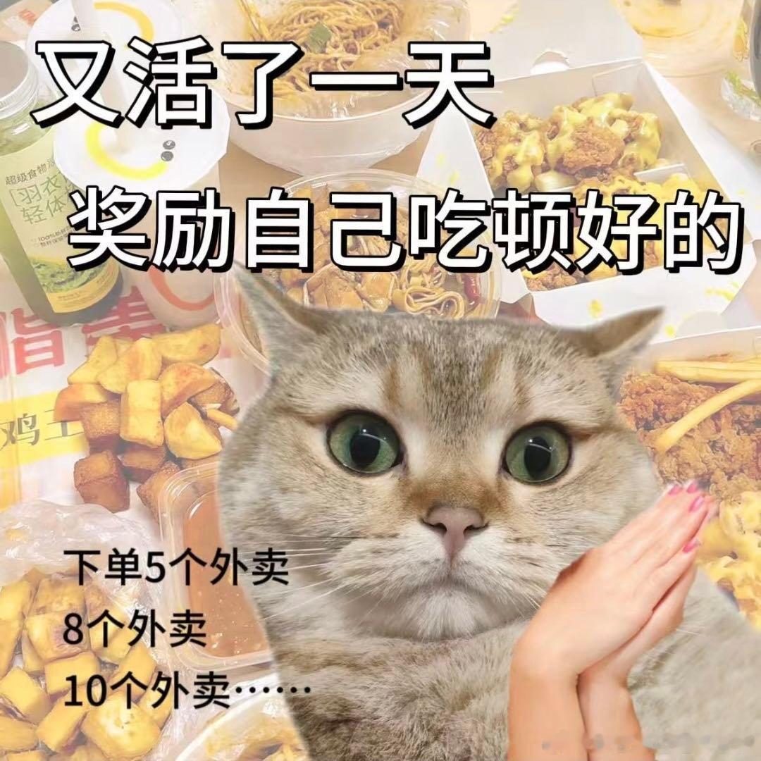 上海已经发展到这个地步了吗以前点外卖只求能吃饱就行，现在在上海点餐，包装精致还附