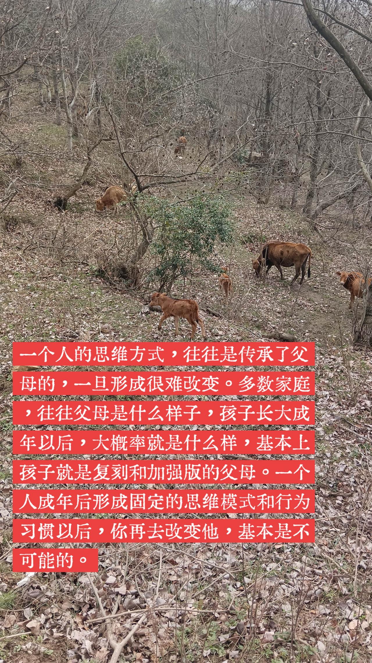 孩子和父母。多数家庭，父母是什么样的人，孩子长大成年以后，大概率也会是什么样的。