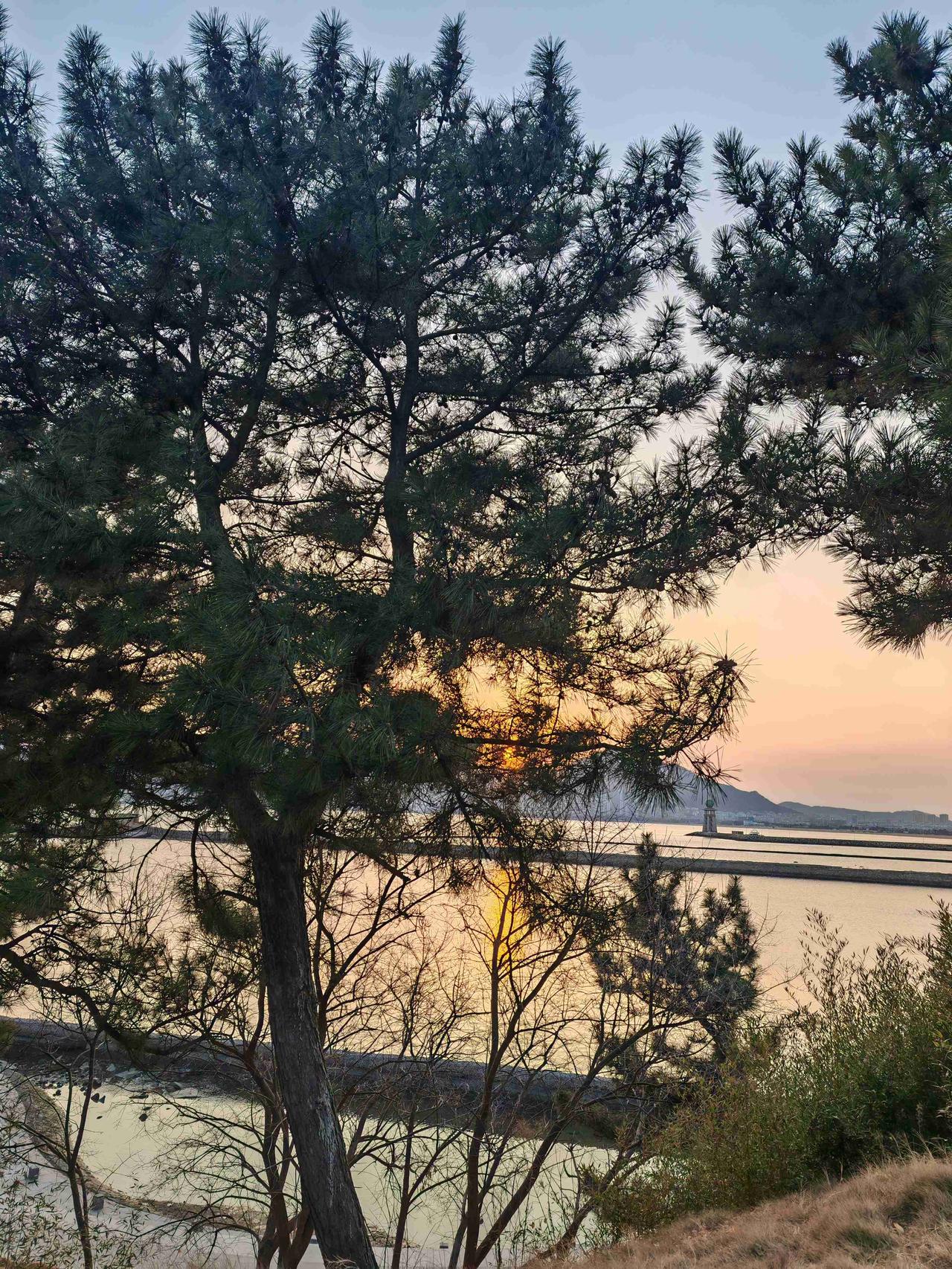 我的今日状态：💰期待暴富
我这里的天气：🌤️多云
预报不准，雪只是零星小雪