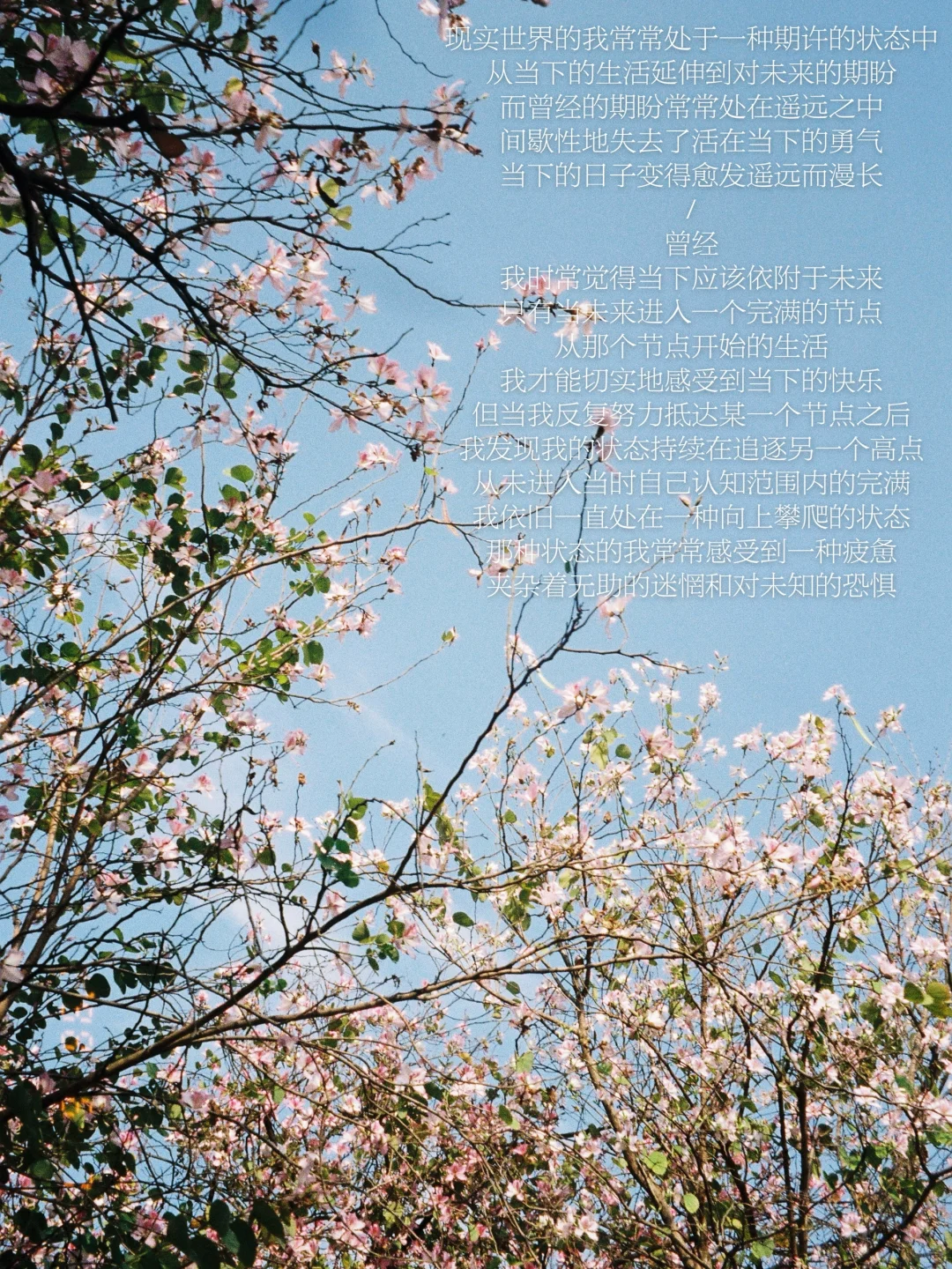 随笔｜我在平静中感知细碎的幸福与欢愉