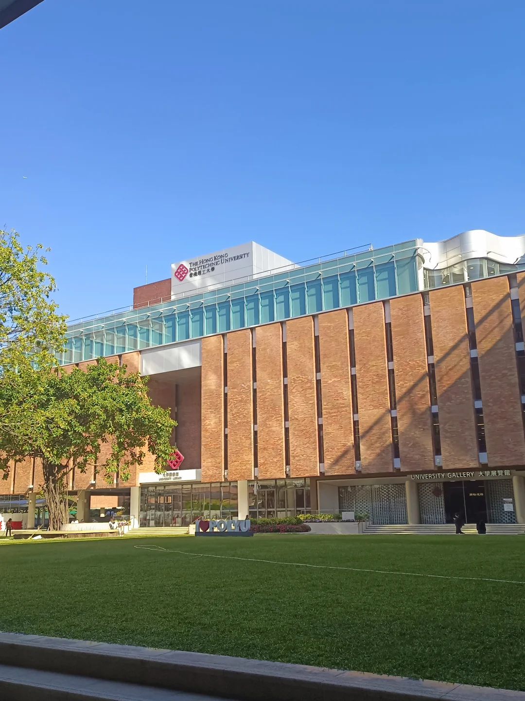 我写论文从不拖延的原因