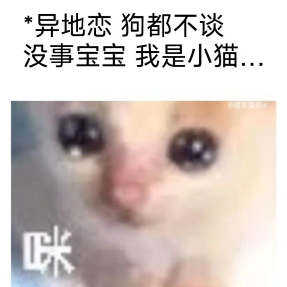 分享新鲜表情包 ​​​