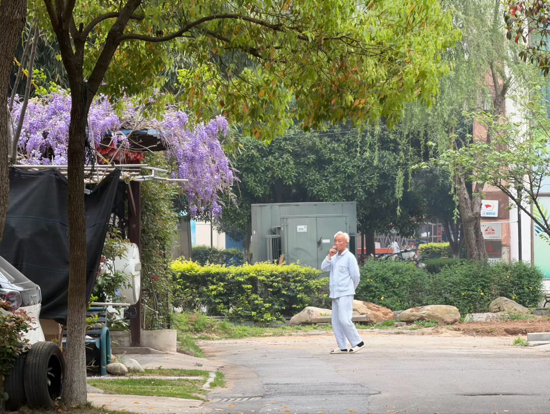 老哥你的花长的真好看 武汉·东方夏威夷国际花园