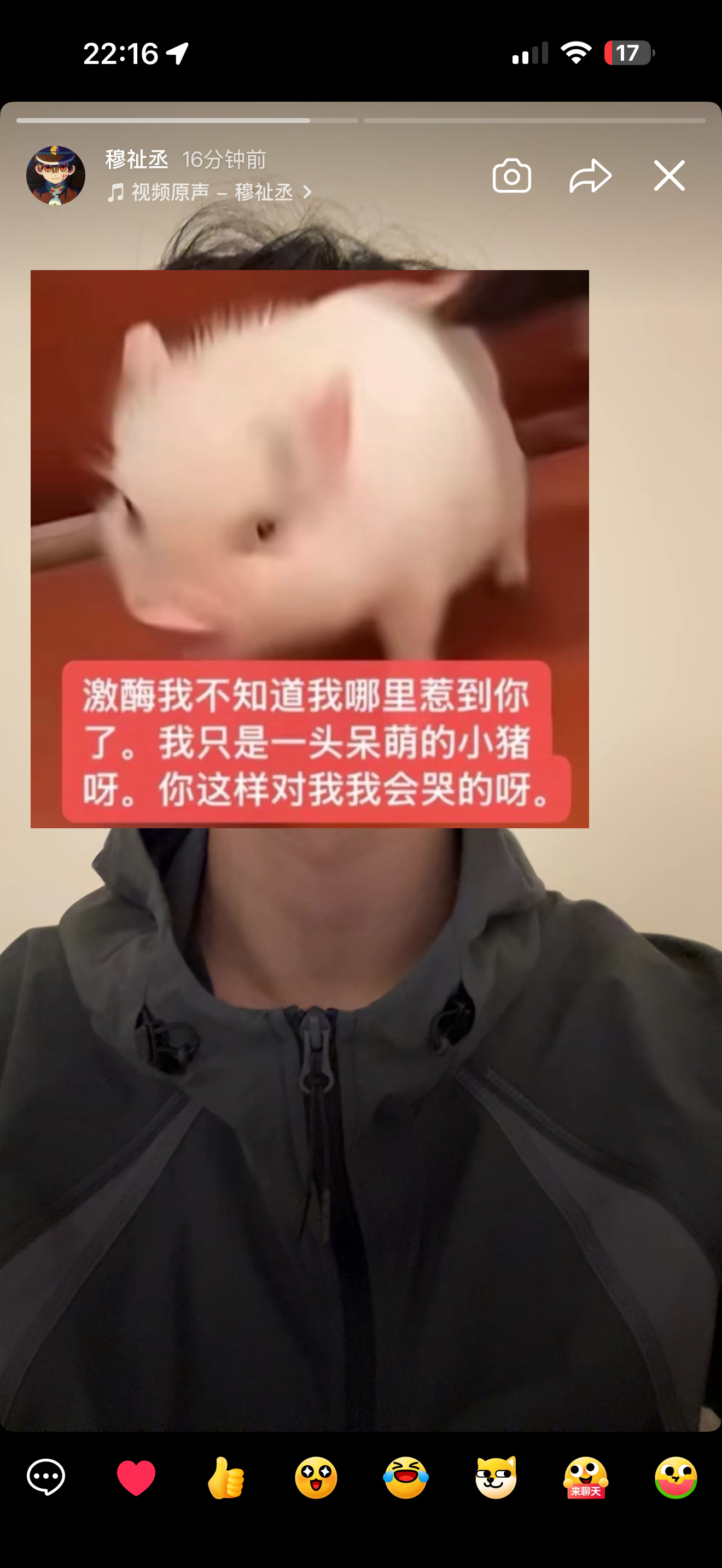你们这些嘲笑我的人感受这张