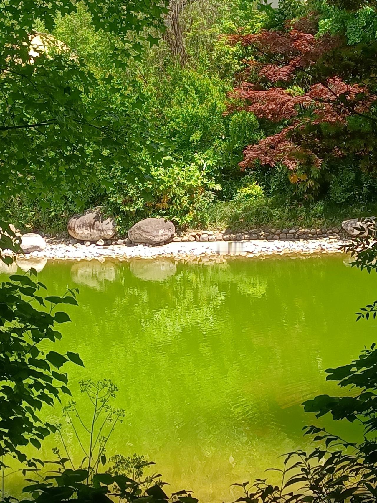 【春之韵·以慈悲与宽容之心为人处世】今年春天最想实现的心愿

慈悲没有敌人，
智
