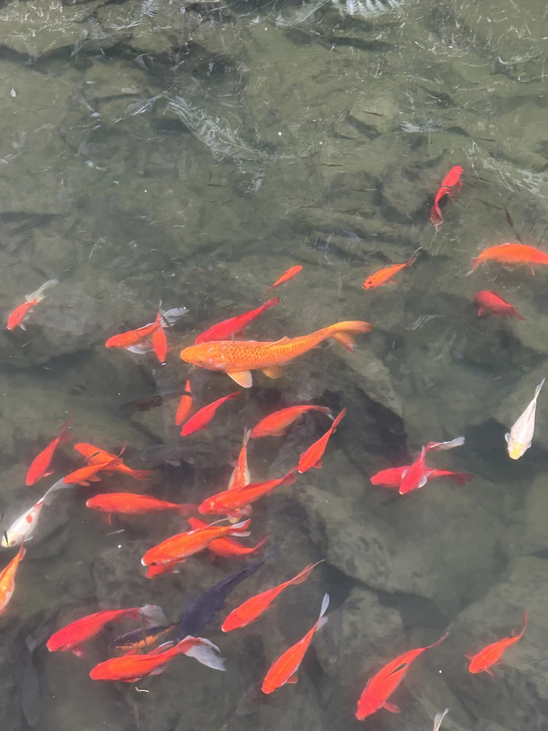 考研再差也会过线✅