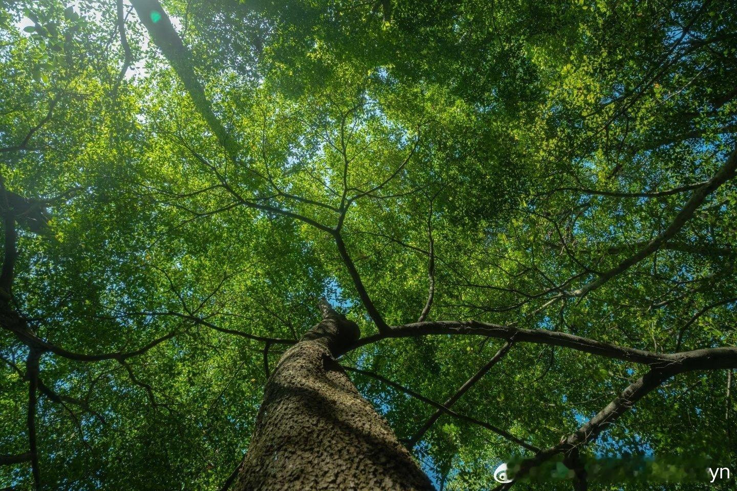 权重[超话]没人能阻止你发光。别因暂时的黑暗，就放弃追逐光明。那些看似平淡无奇的