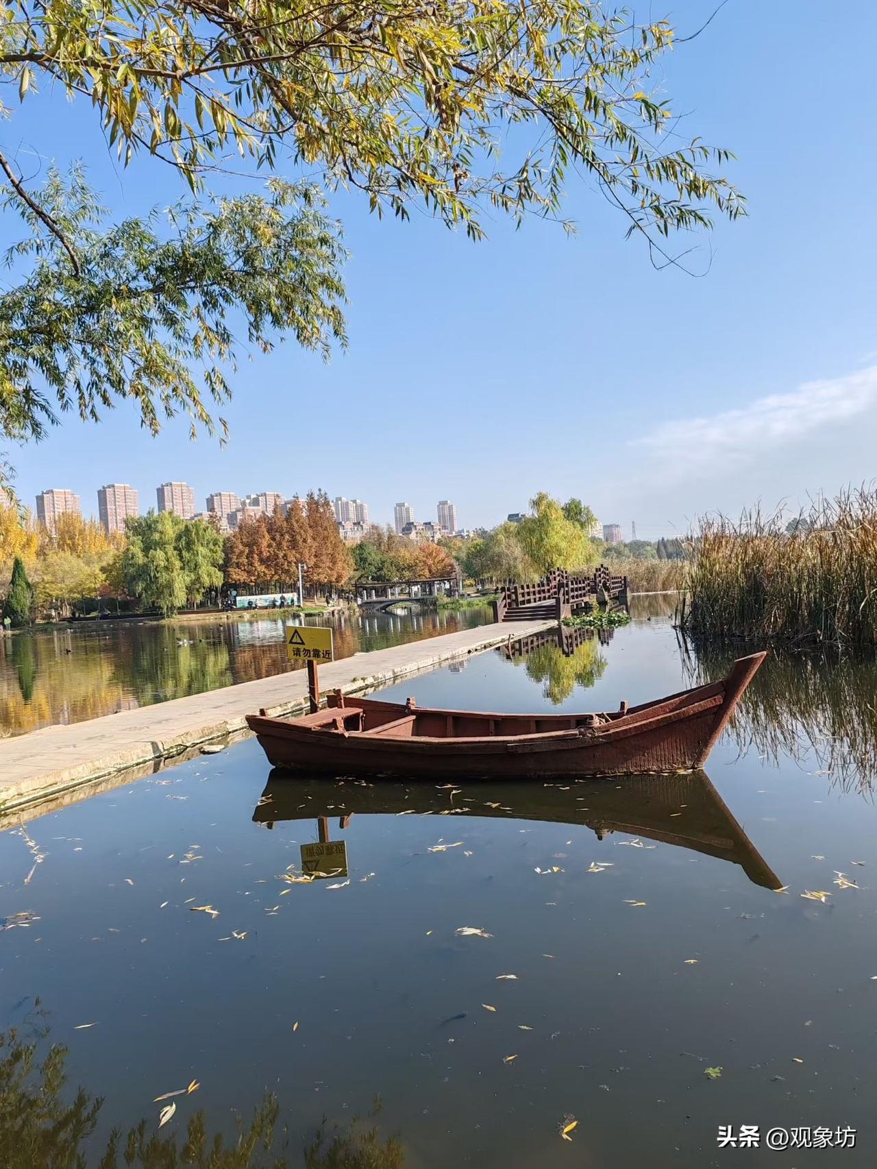 老人洗拖把坠亡索赔被驳回大快人心，可转头看看讲台上的老师，谁又来为他们撑腰？
