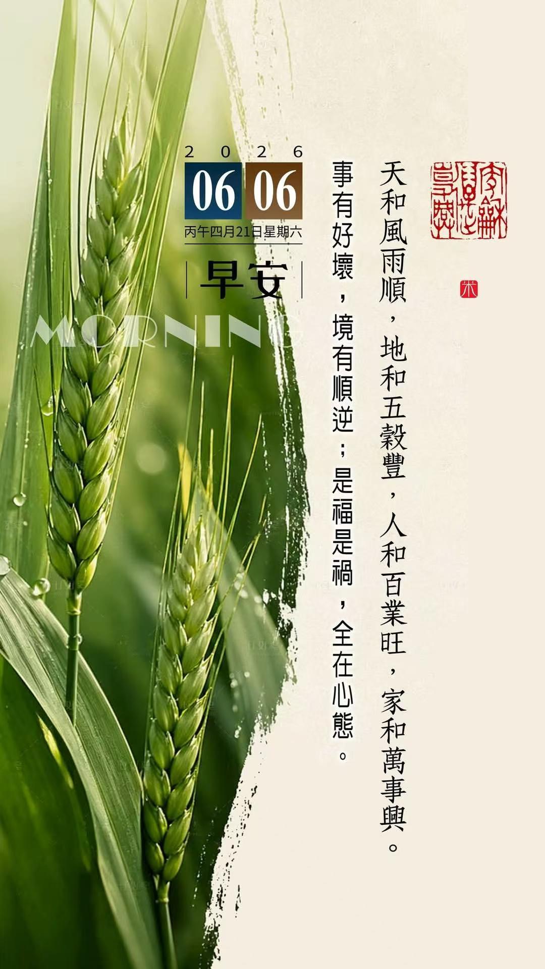 不要摘不要吃宁波路边已大量出现 这事不仅仅是说宁波，采摘食用路边树木上结的果实风