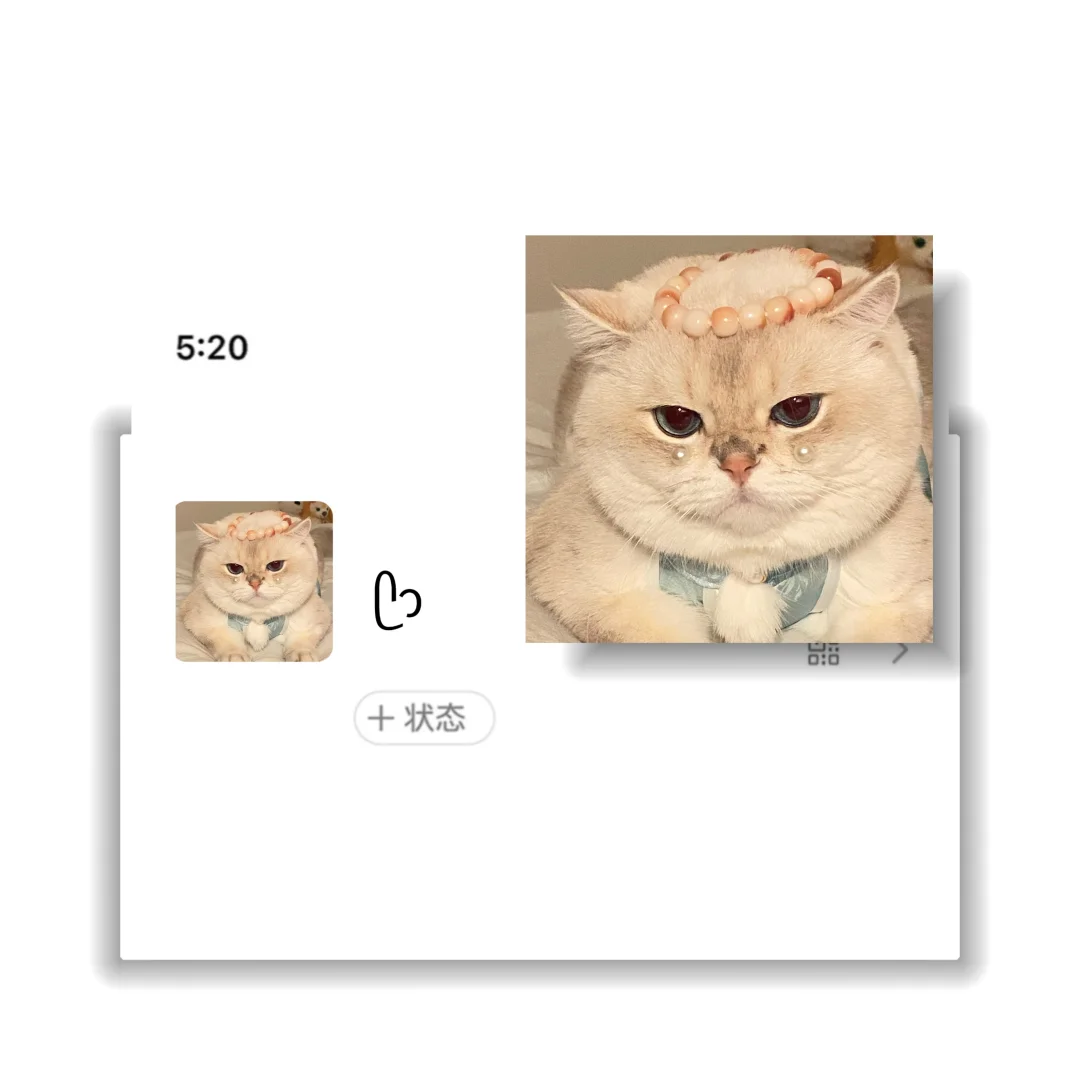 WeChat｜猫猫头像