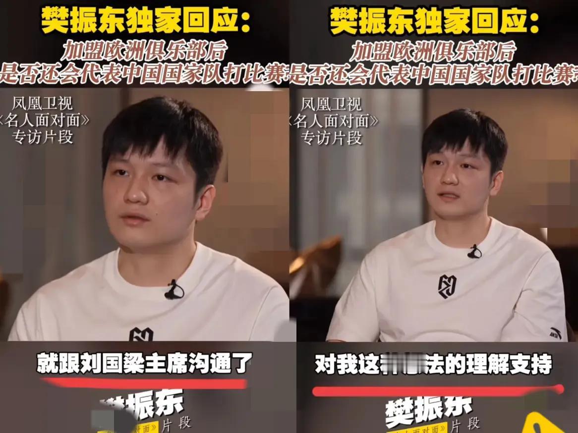 谁能想到赛场上叱咤风云的樊振东，也曾在深夜独自舔舐伤口？
           