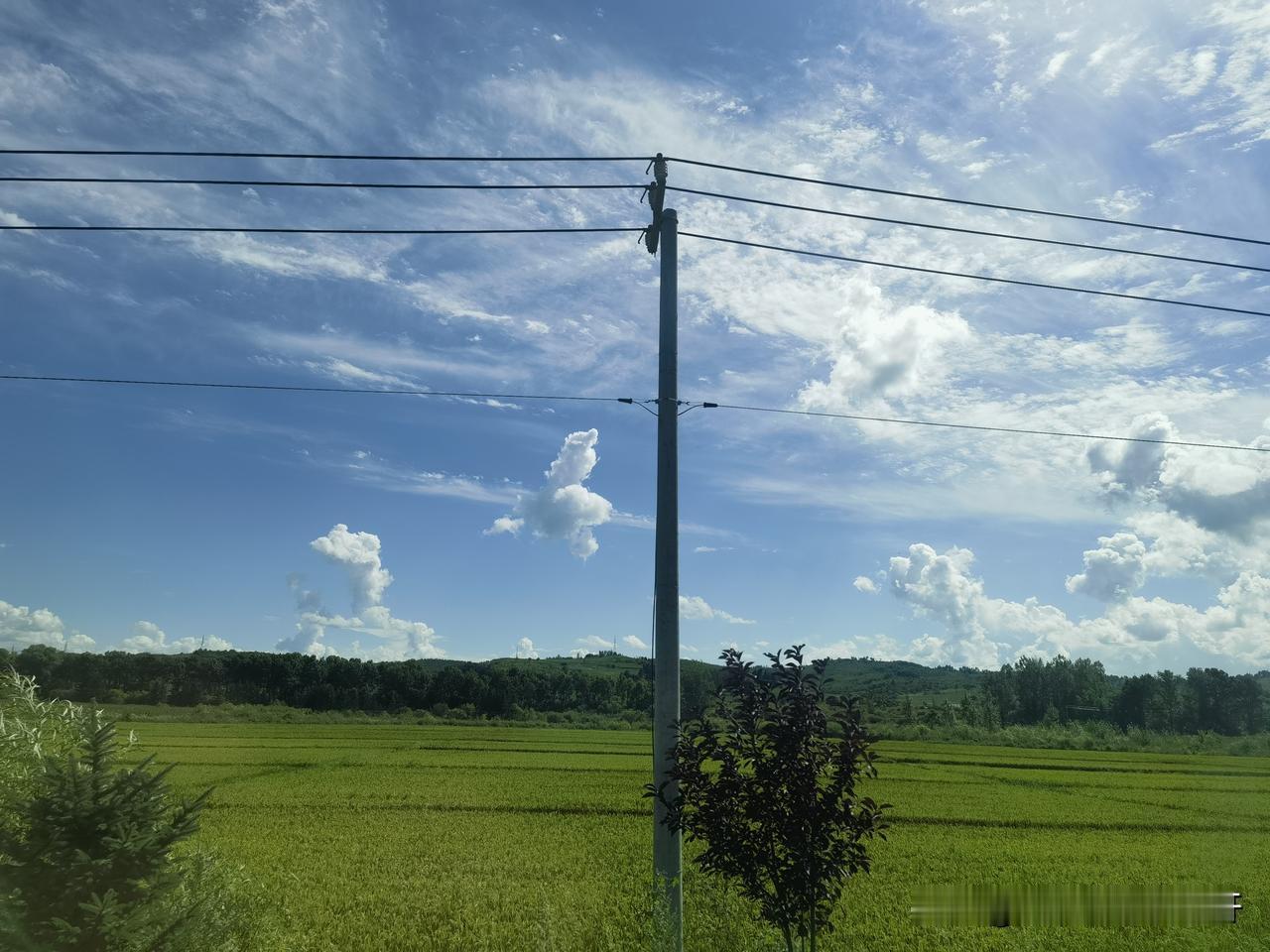 途经蛟河，到安图，到延吉

一路上绿莹莹

白云离我很近，延边地区生态很好