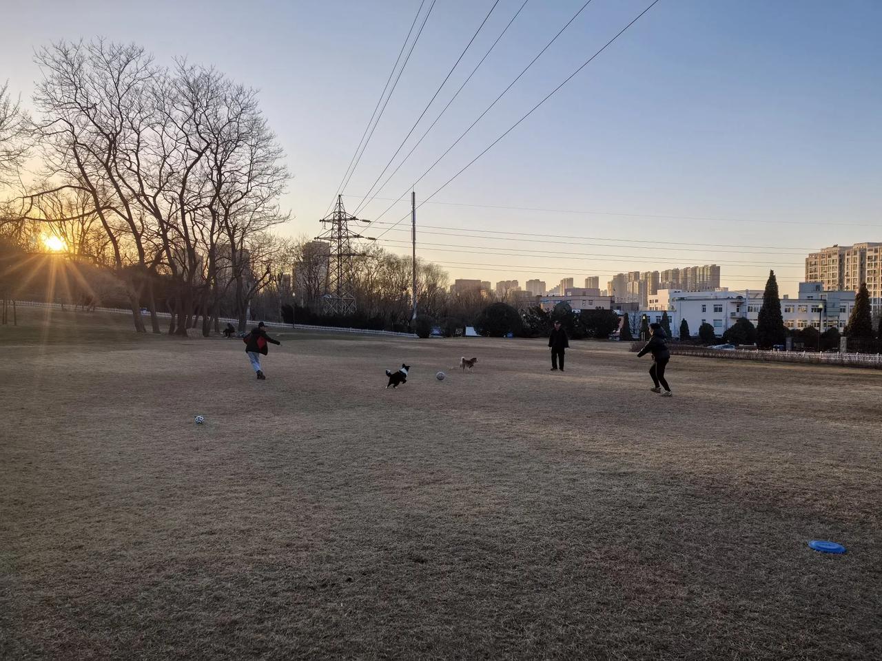 生活充满了酸甜苦辣，在上有老下有小的关键时刻要挺得住，要扛得动一切，扛不动也得扛