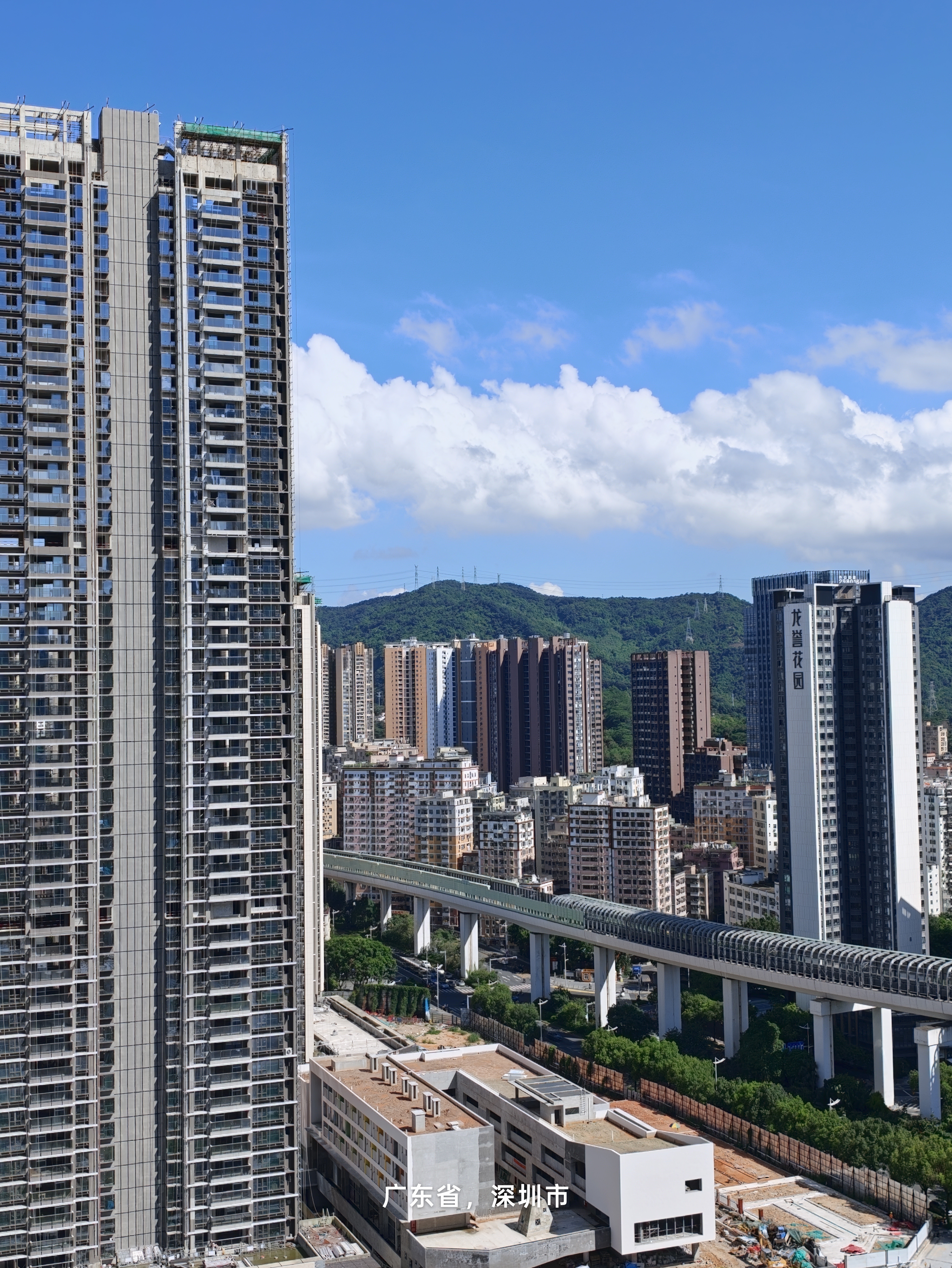 今天深圳天气属实不错