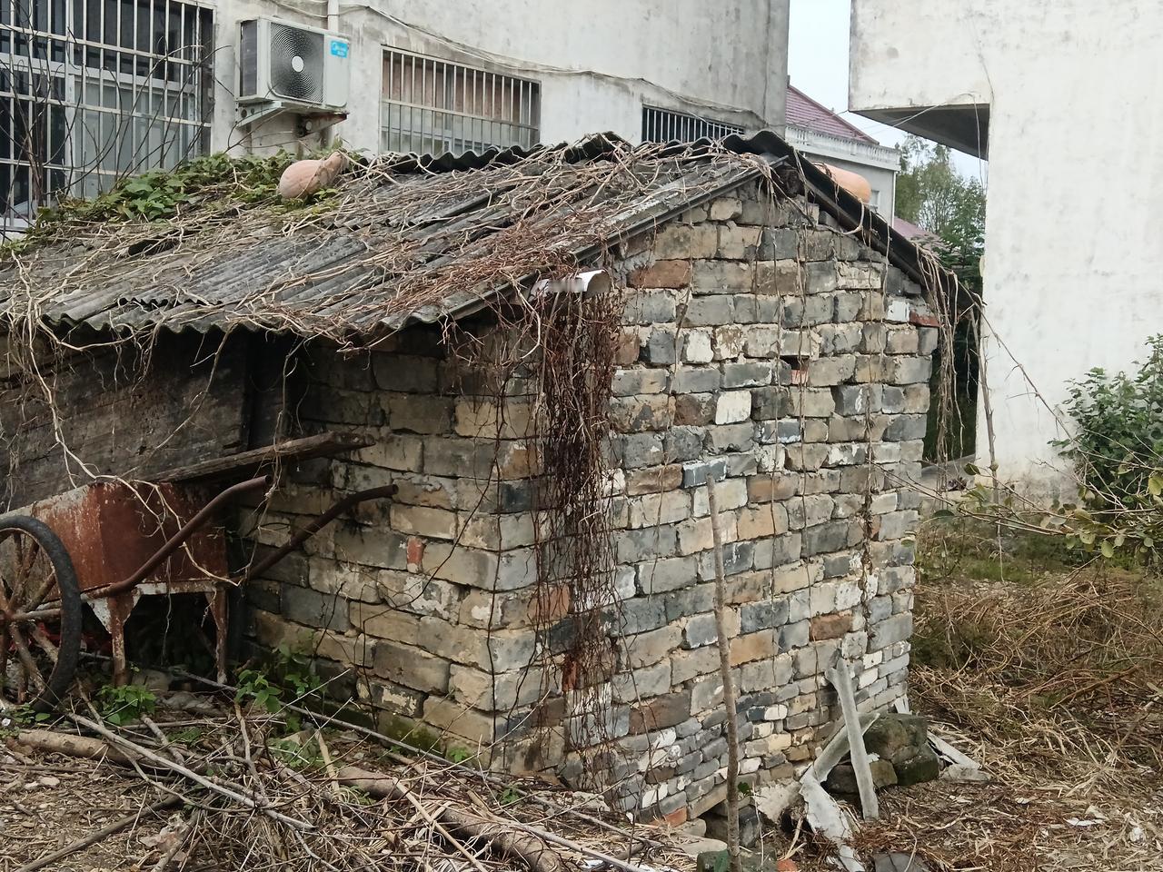 我新发布的内容被官方推荐啦！👍你也快来发布一条吧！带