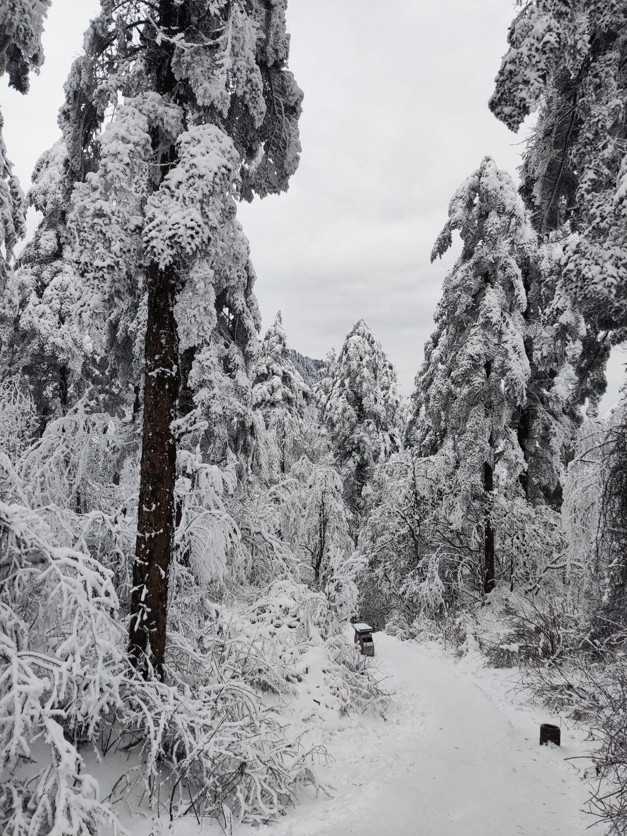 下联：心里家山雪韵绵。